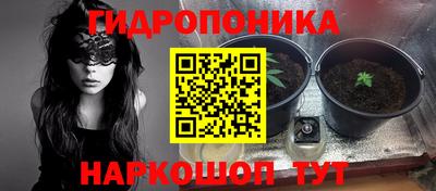 сатива Ирбит