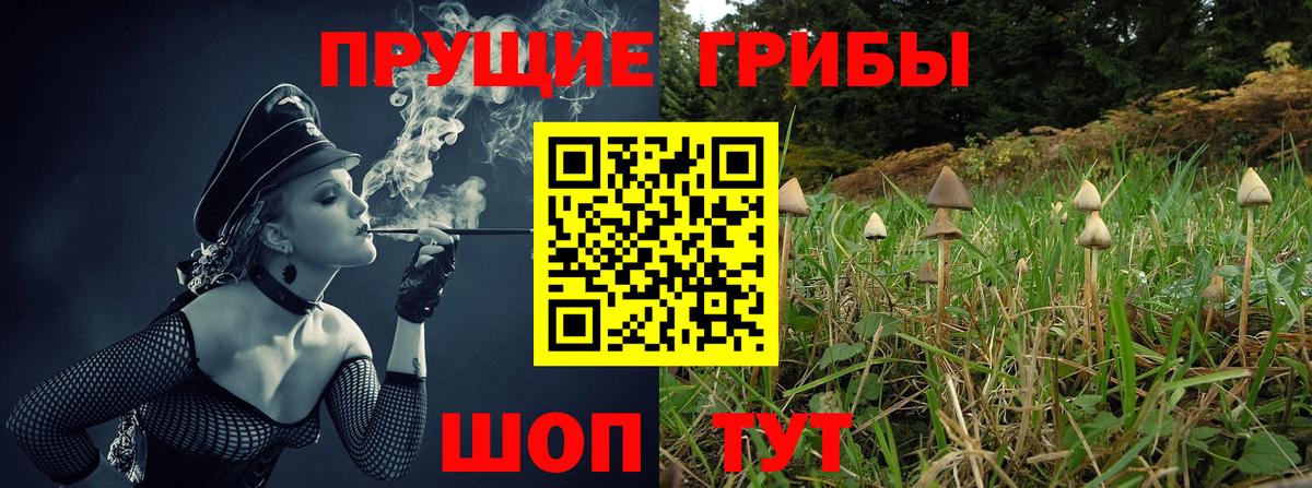Галлюциногенные грибы прущие грибы Лыткарино