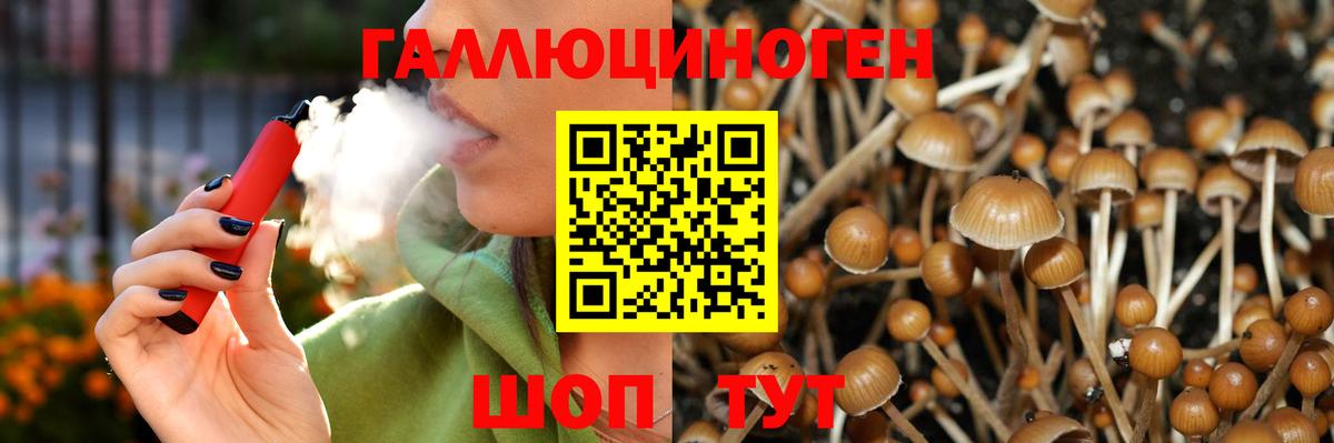 Лыткарино  Псилоцибиновые грибы Psilocybine cubensis  наркотики  Вход с VPN 
